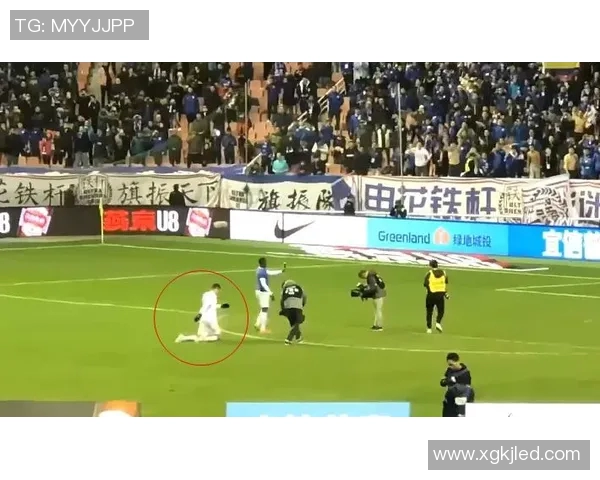 申花与辽宁激战正酣比赛结果揭晓引发球迷热议